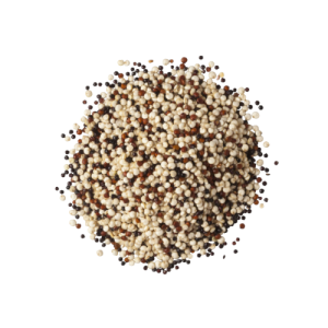 Quinoa Tricolor